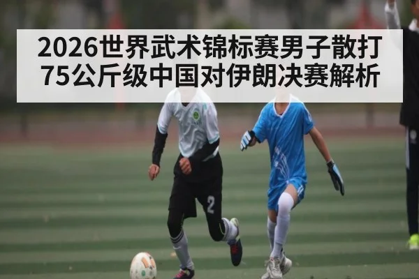 2026世界武术锦标赛男子散打75公斤级中国对伊朗决赛解析
